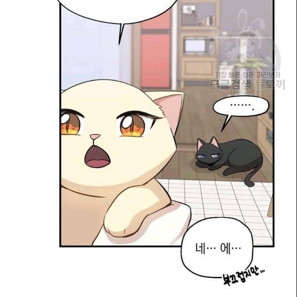 묘한 인생 60화 11
