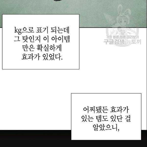 골렘 잡고 흙수저 탈출 28화 17