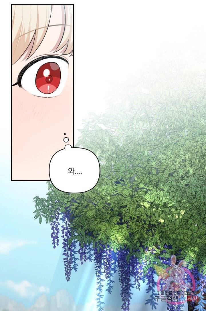 TL 소설 속 시녀가 되었습니다 38화 28