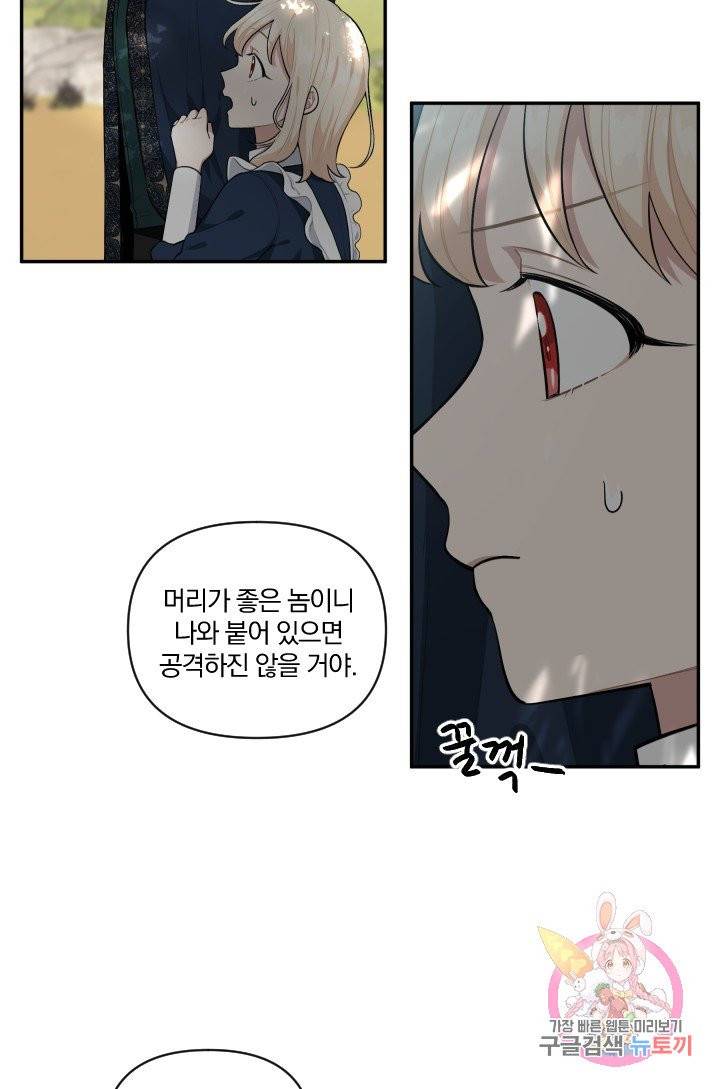 TL 소설 속 시녀가 되었습니다 38화 41