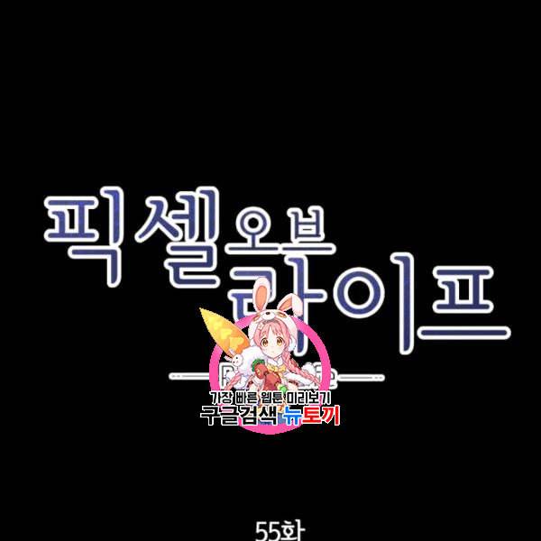 픽셀 오브 라이프 55화 1