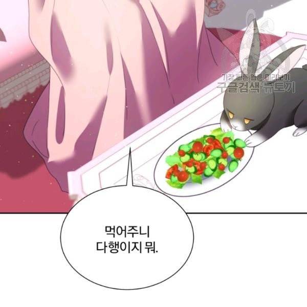 가짜 공녀님의 만렙 토끼 4화 19