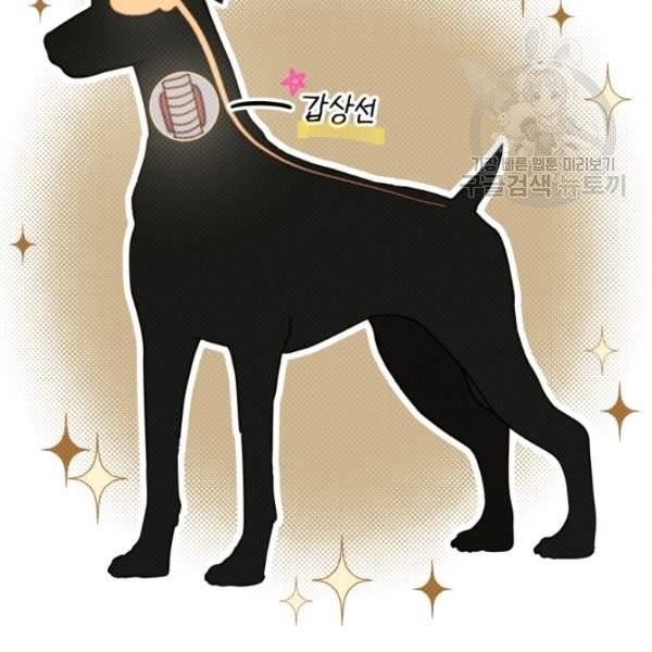 접경지역의 동물병원 33화 10