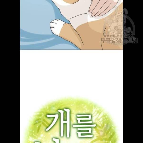개를 낳았다 시즌2 45화 15