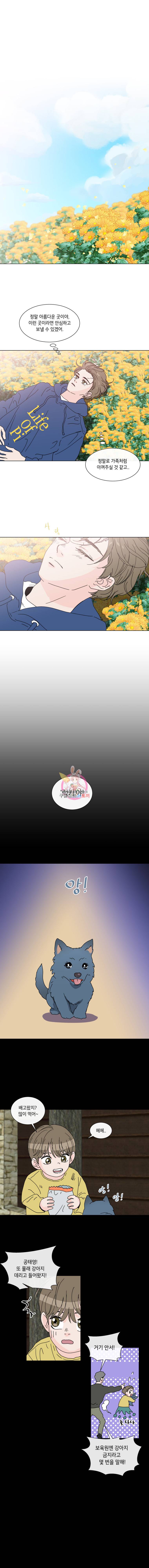 우리집이거든요! 35화 9