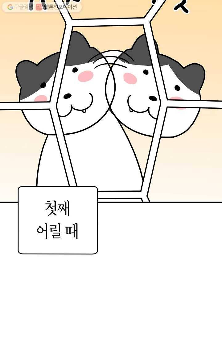 넘 많은 고양! 025화 3