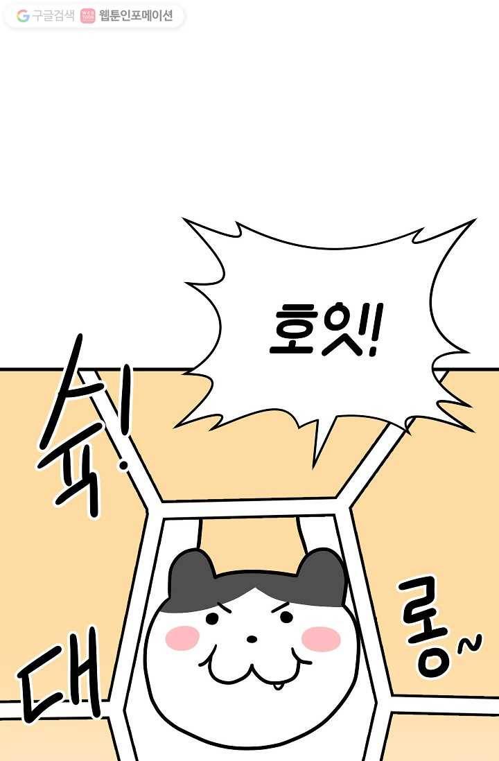 넘 많은 고양! 025화 4