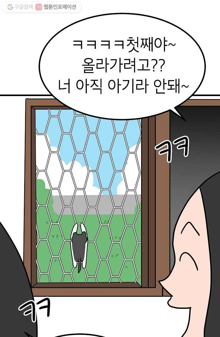 넘 많은 고양! 025화 6