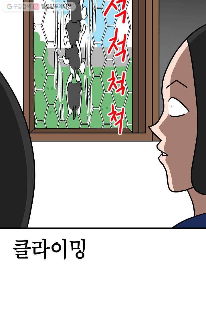 넘 많은 고양! 025화 8