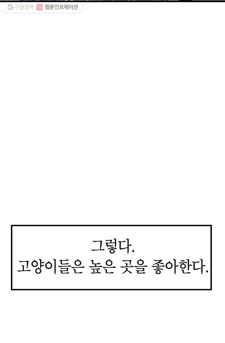 넘 많은 고양! 025화 11