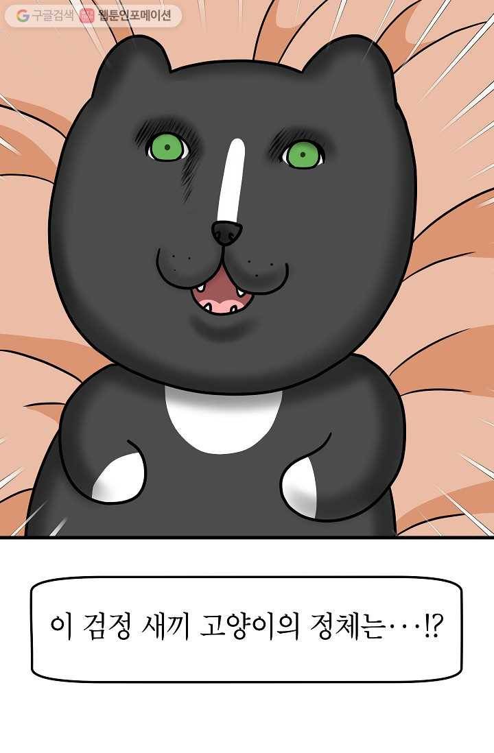 넘 많은 고양! 031화 3