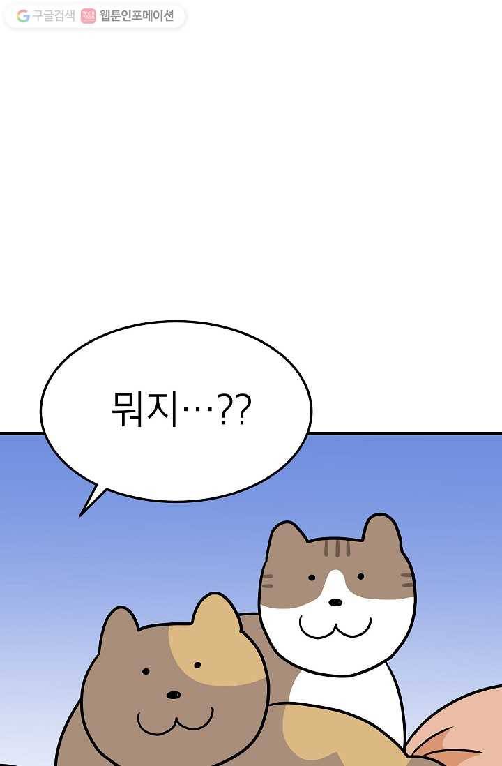 넘 많은 고양! 031화 4
