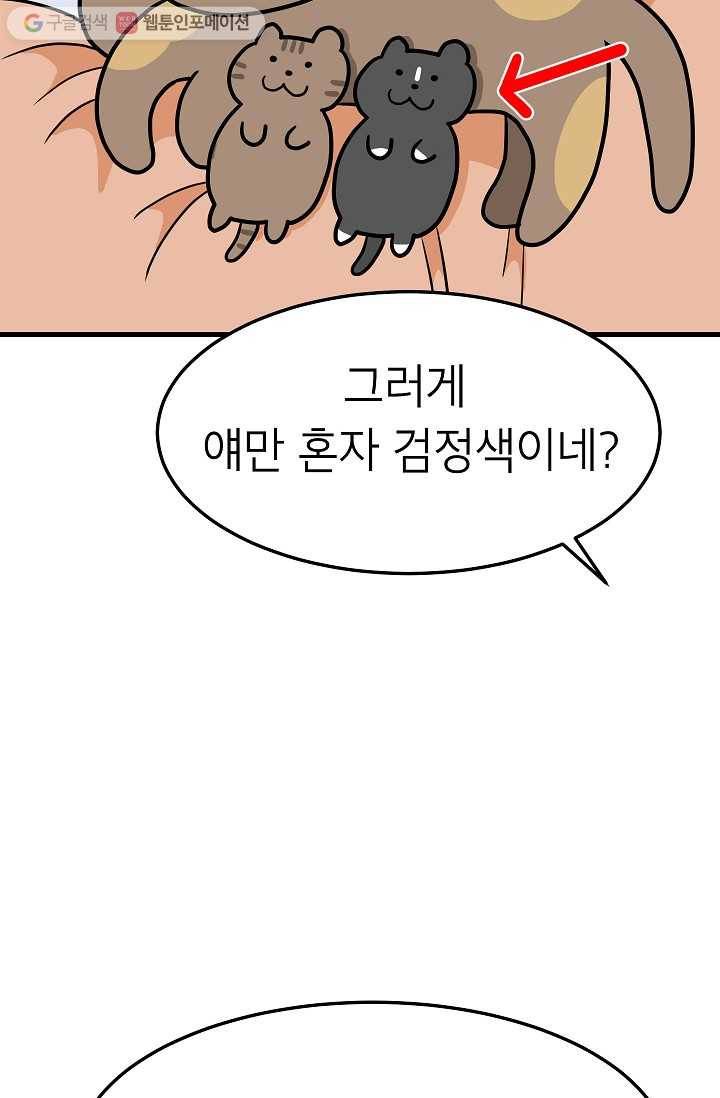 넘 많은 고양! 031화 5