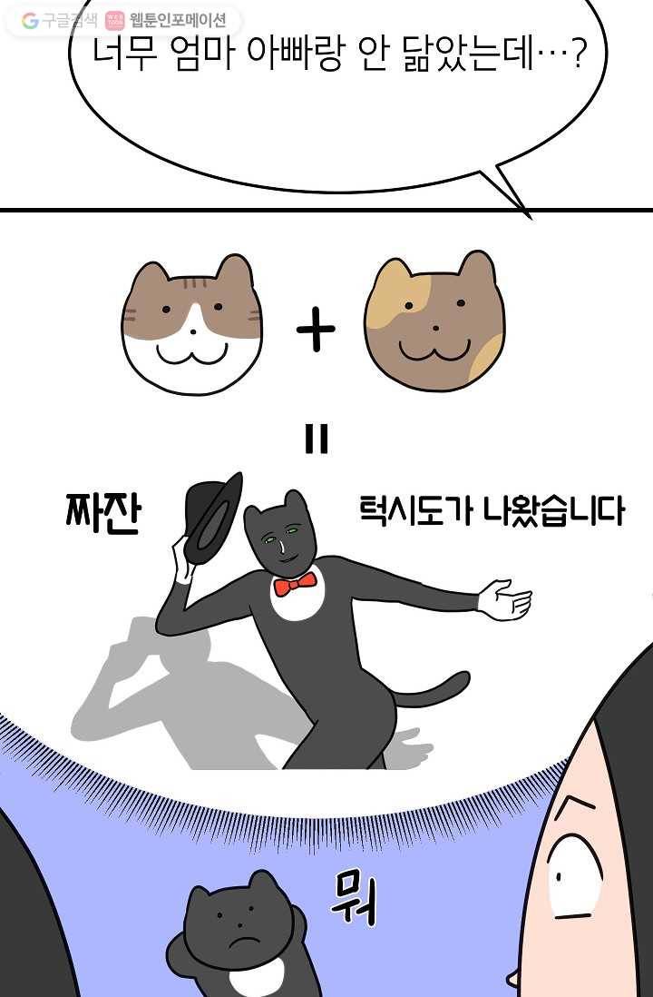 넘 많은 고양! 031화 6