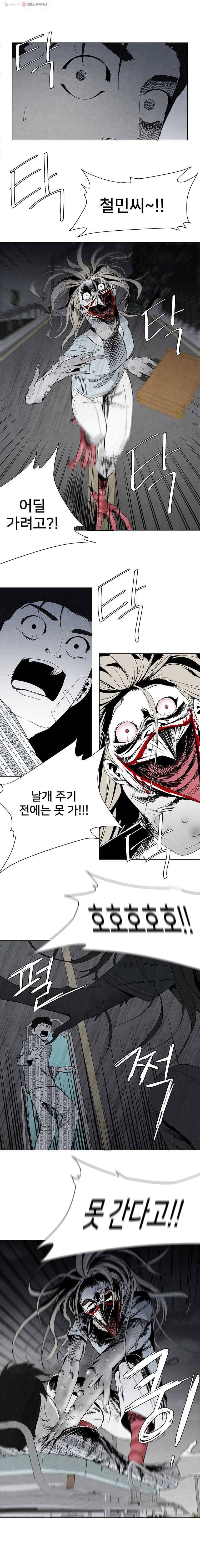 조류공포증 11화 1