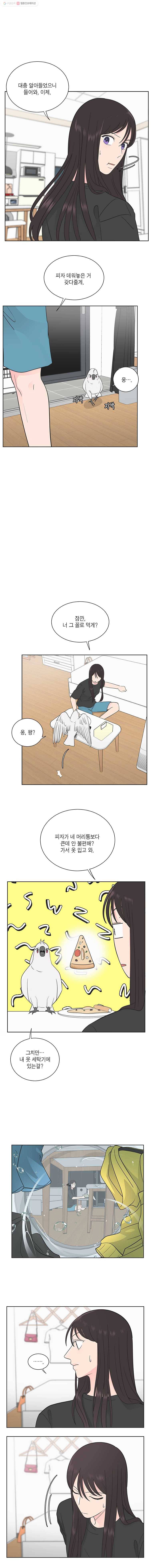 그녀의 앵무새 23화 난 누구다 13