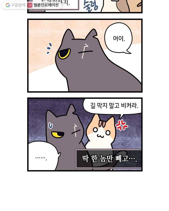 지구의 주인은 고양이다 19화 2