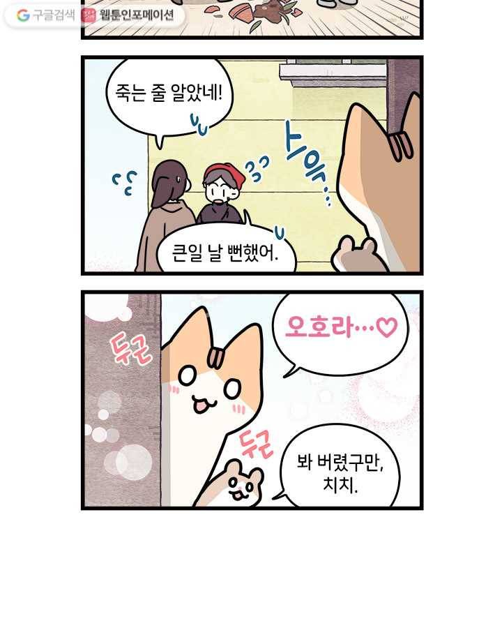 지구의 주인은 고양이다 89화 2