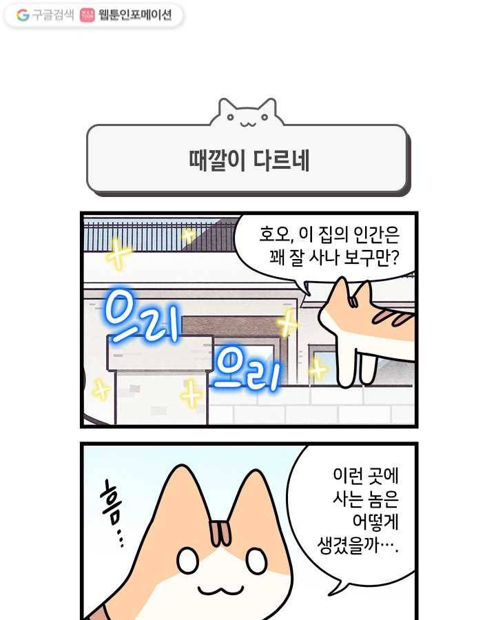 지구의 주인은 고양이다 107화 1