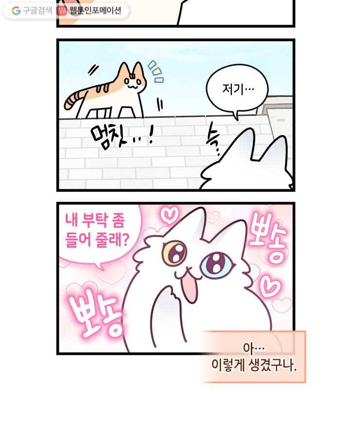 지구의 주인은 고양이다 107화 2