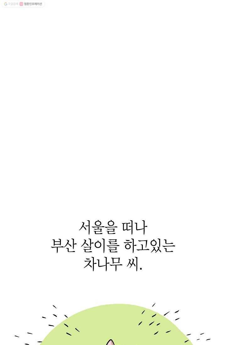 핫차!핫차! 차나무生 7화 4