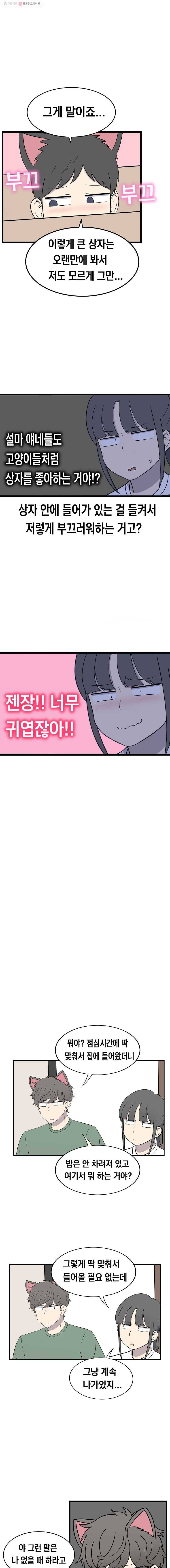 냥냐라냥냥 44.상자(1) 6