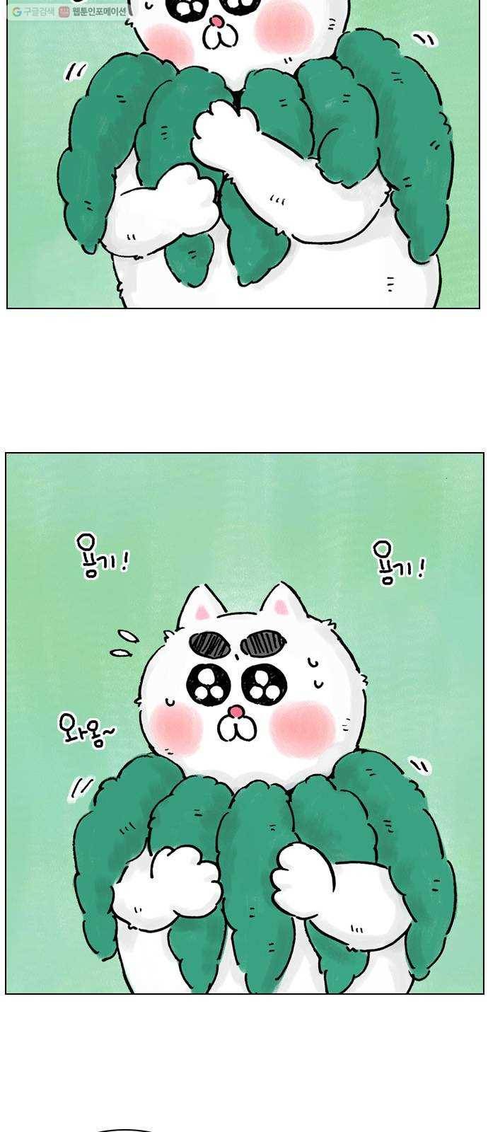안녕 나의 모모로 스물둘 4