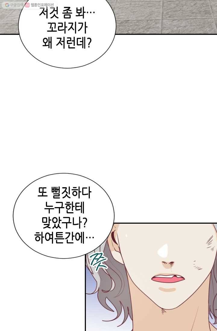 박씨가 없어서요 17화 5