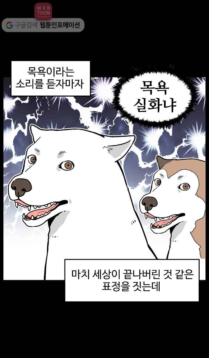 노곤하개 7화 멍멍이는 목욕이 싫다 3