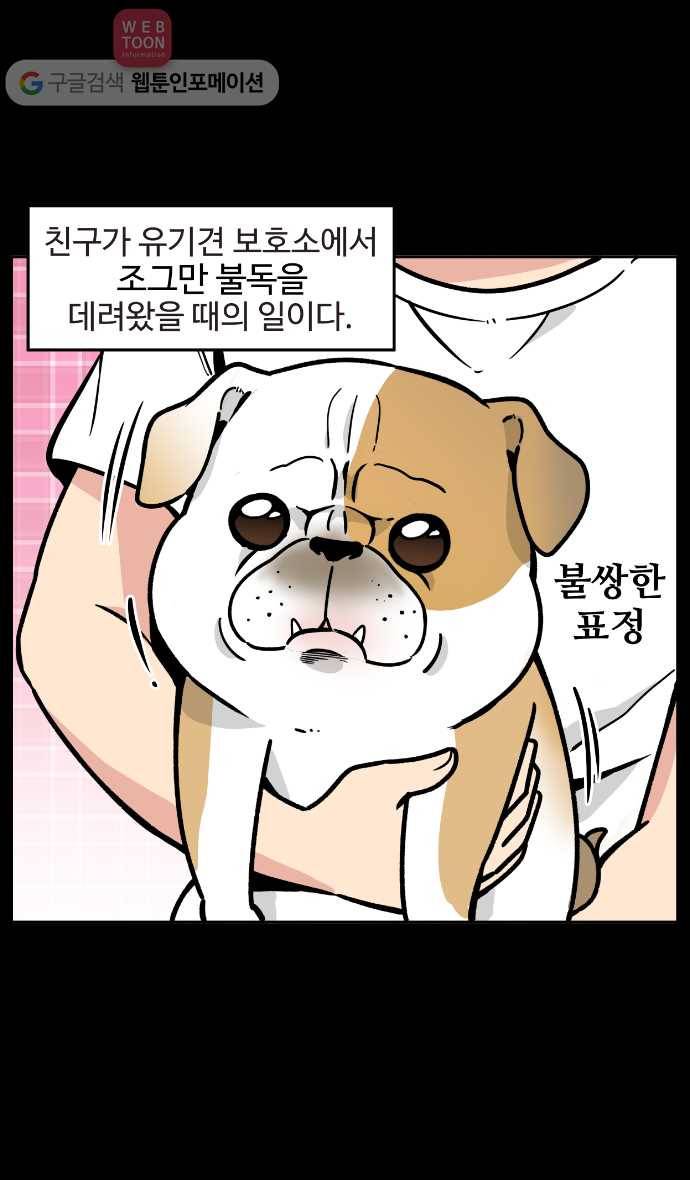 노곤하개 17화  새로운 친구! 2