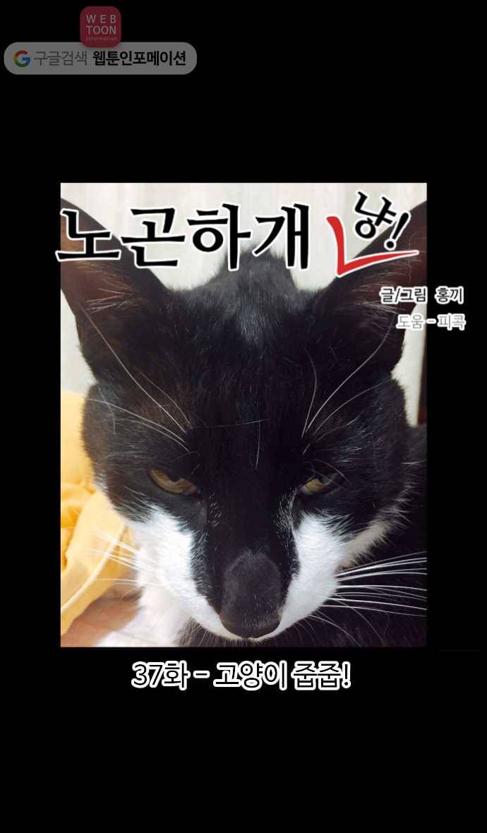 노곤하개 37화 고양이 줍줍! 1