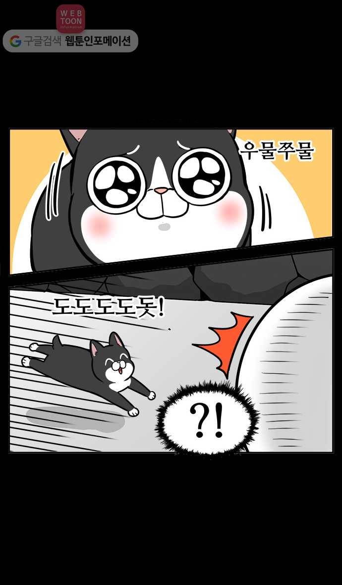 노곤하개 37화 고양이 줍줍! 4