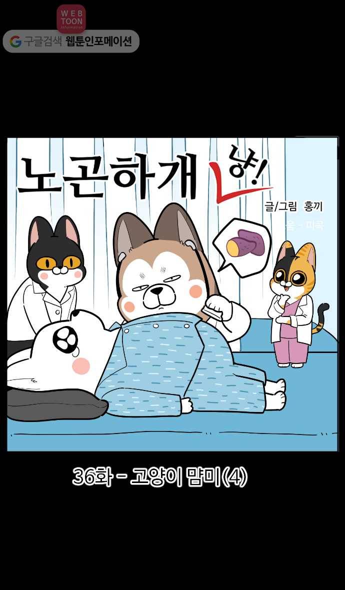 노곤하개 시즌2 36화 고양이 먐미 (4) 1