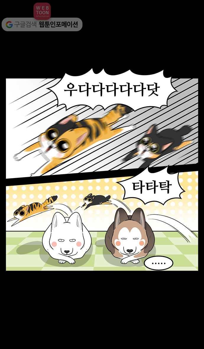 노곤하개 시즌2 42화 멍멍이는 고양이가 귀찮아 3