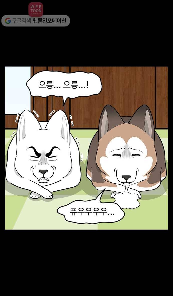 노곤하개 시즌2 42화 멍멍이는 고양이가 귀찮아 4
