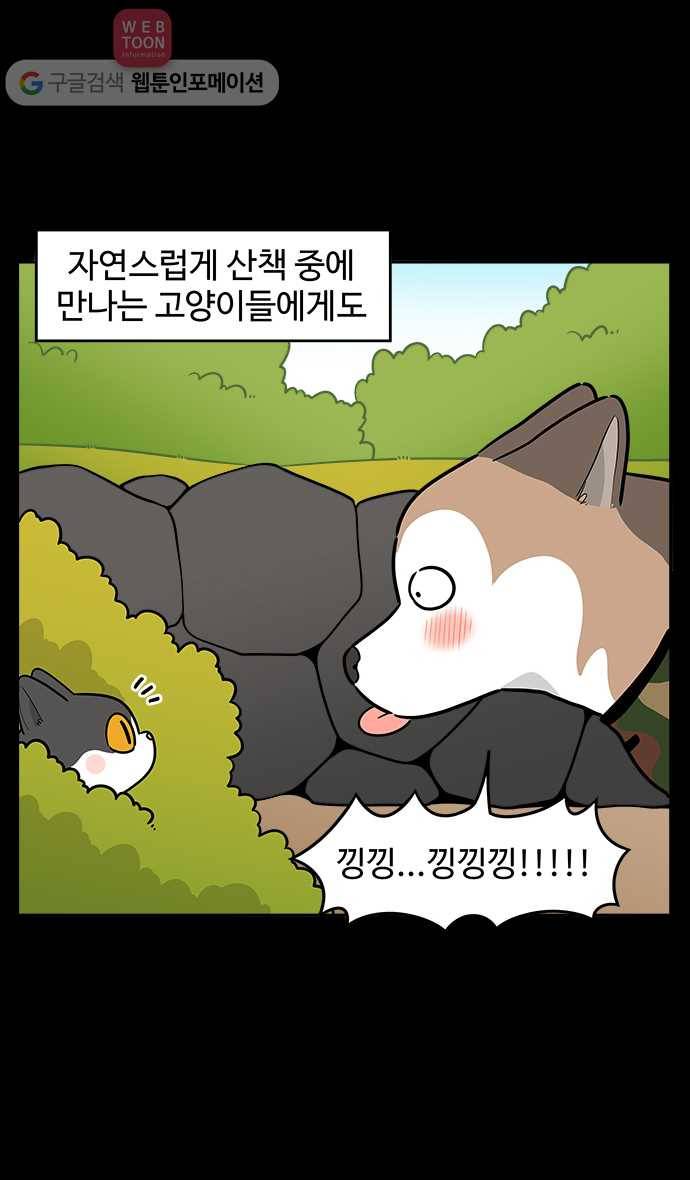 노곤하개 시즌2 42화 멍멍이는 고양이가 귀찮아 5