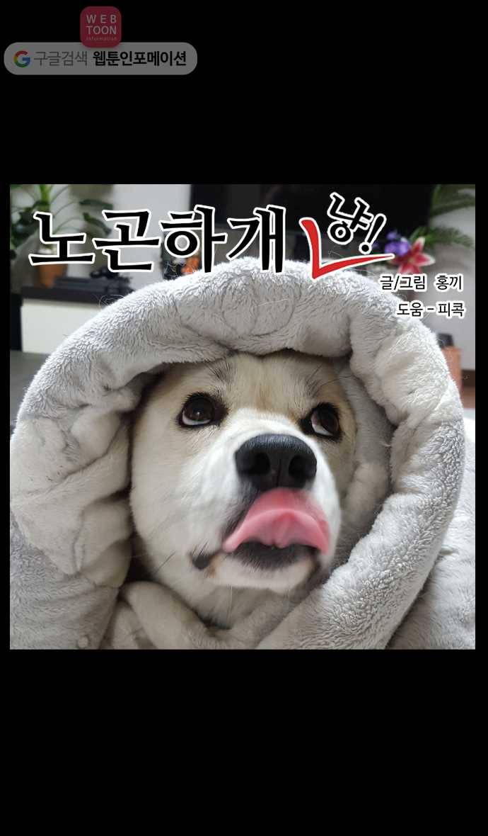 노곤하개 시즌2 54화 욘두는 멍청이 1
