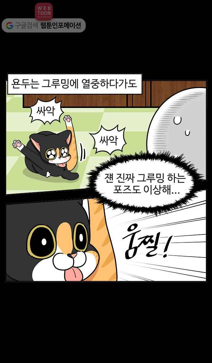 노곤하개 시즌2 54화 욘두는 멍청이 4
