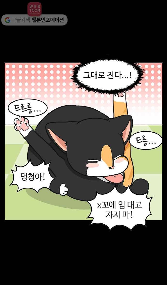 노곤하개 시즌2 54화 욘두는 멍청이 5