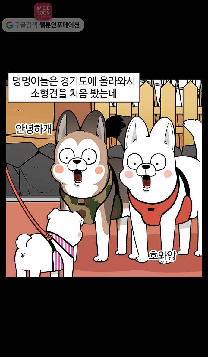 노곤하개 시즌2 60화 멍멍이와 소형견 2