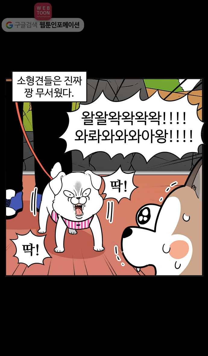 노곤하개 시즌2 60화 멍멍이와 소형견 3