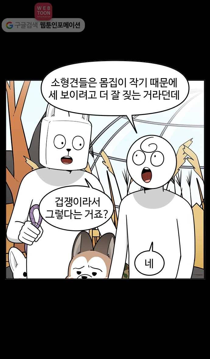 노곤하개 시즌2 60화 멍멍이와 소형견 4