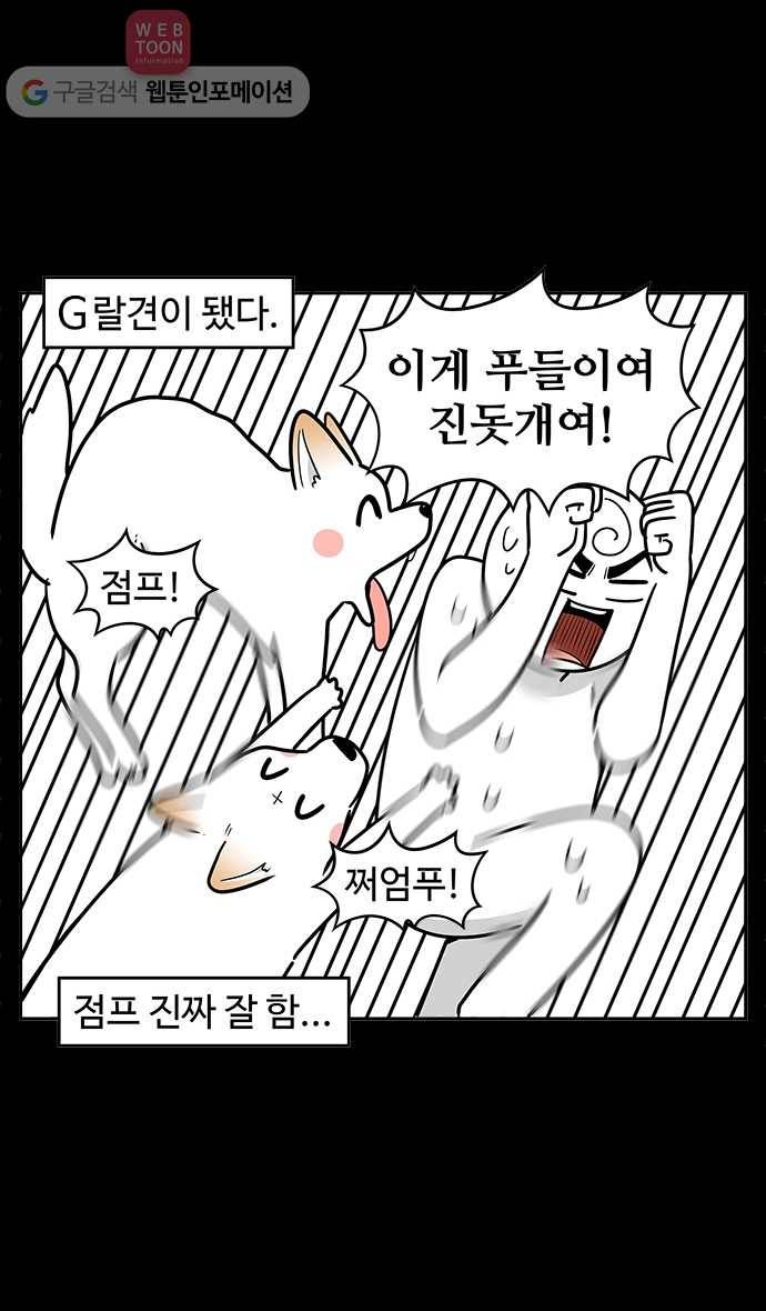 노곤하개 시즌2 66화 유기견 힝구 (2) 3