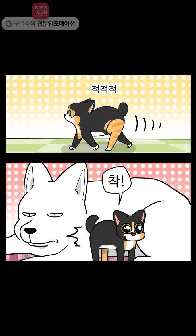 노곤하개 시즌2 73화 욘두의 사춘기 (2) 5
