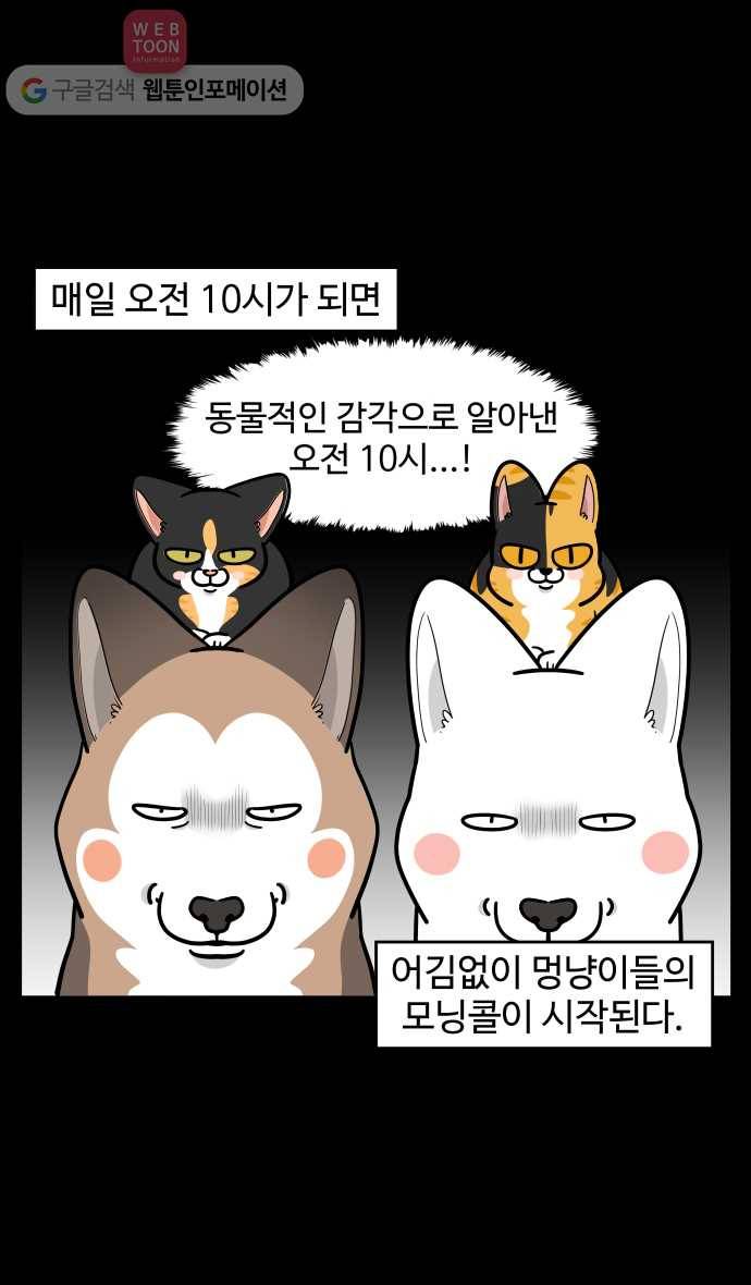 노곤하개 시즌2 86화 멍냥이의 모닝콜 2