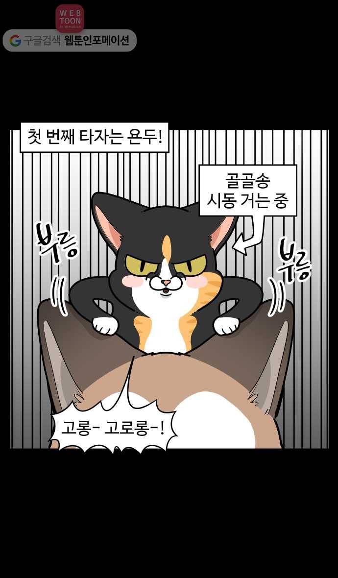노곤하개 시즌2 86화 멍냥이의 모닝콜 3