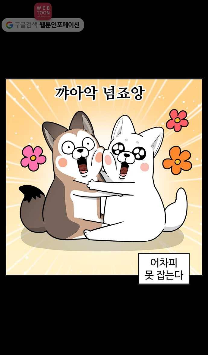 노곤하개 시즌3 프롤로그 11