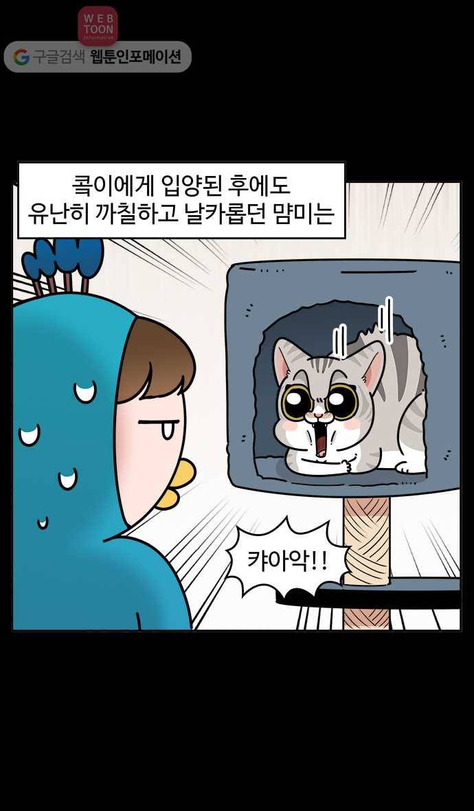 노곤하개 시즌3 20화 먐미의 변화 2