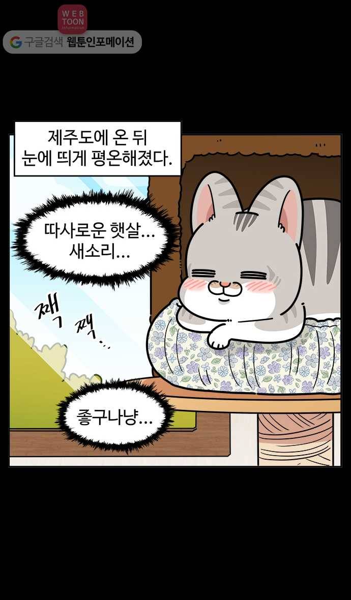 노곤하개 시즌3 20화 먐미의 변화 3