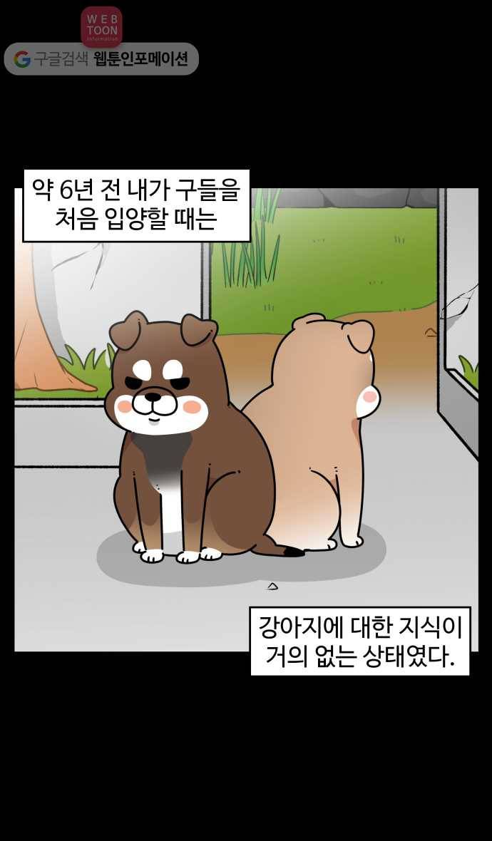 노곤하개 시즌3 30화 구들과 입양(1) 2